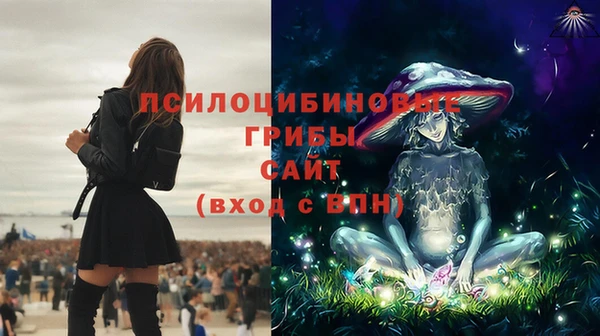 крисы Михайловск