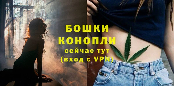крисы Михайловск
