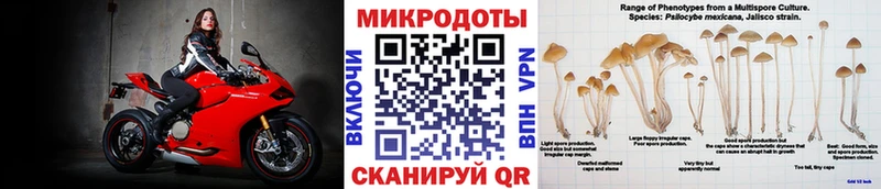 Купить где Усинск Псилоцибиновые грибы Magic Shrooms